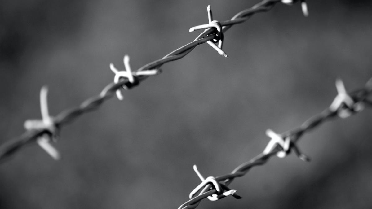 sarma-ghimpata_28611700