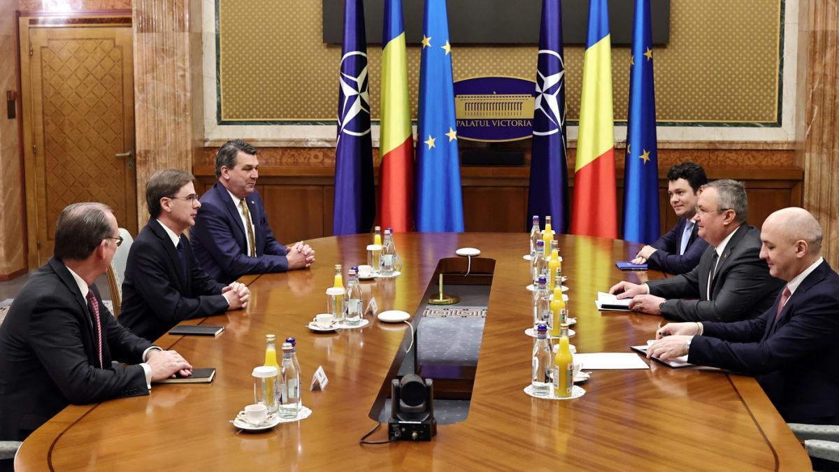 fluor-ciuca_51779200