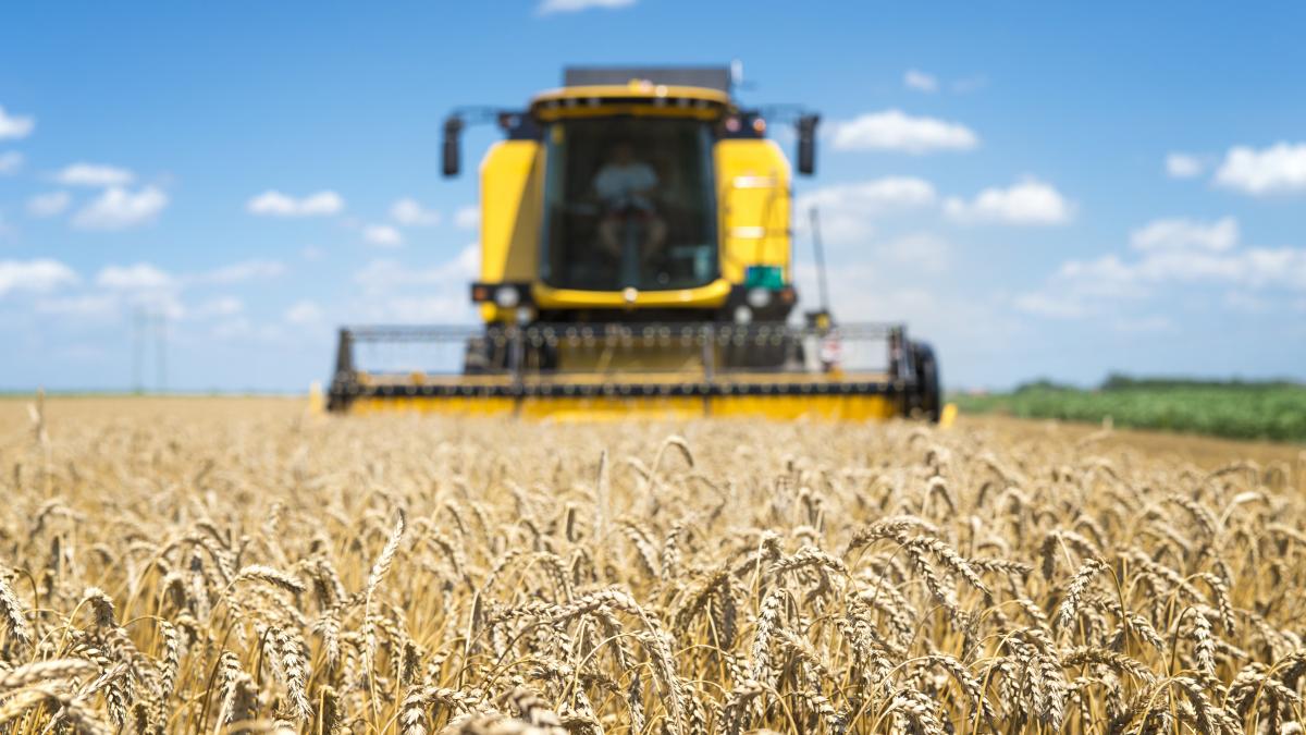 combine-harvester-working-field_44970700