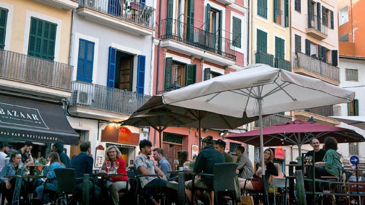 palma-de-mallorca_55027900