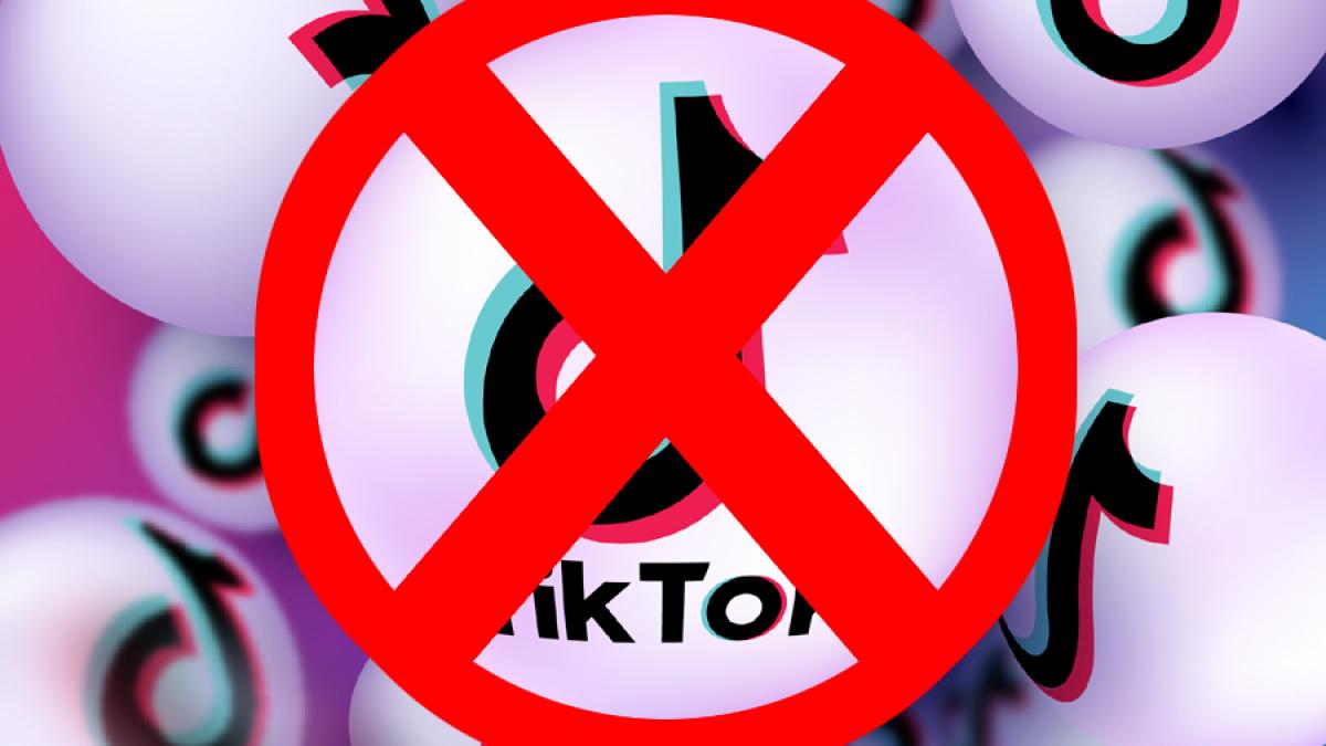 fara-tiktok_57650300