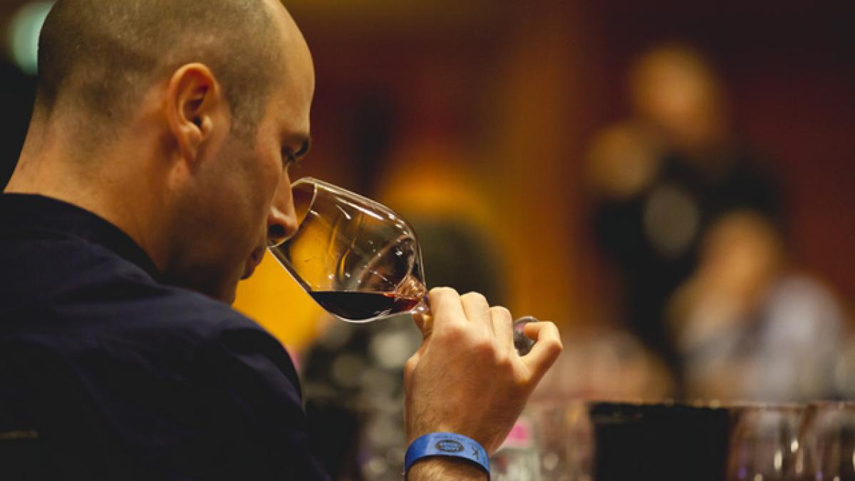 degustare-de-vinuri_80161900