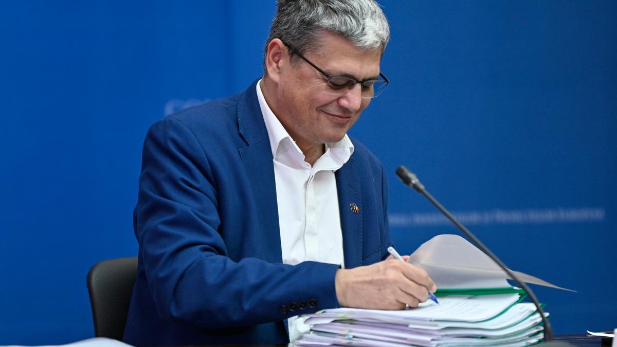 bolos-semnand_84066400