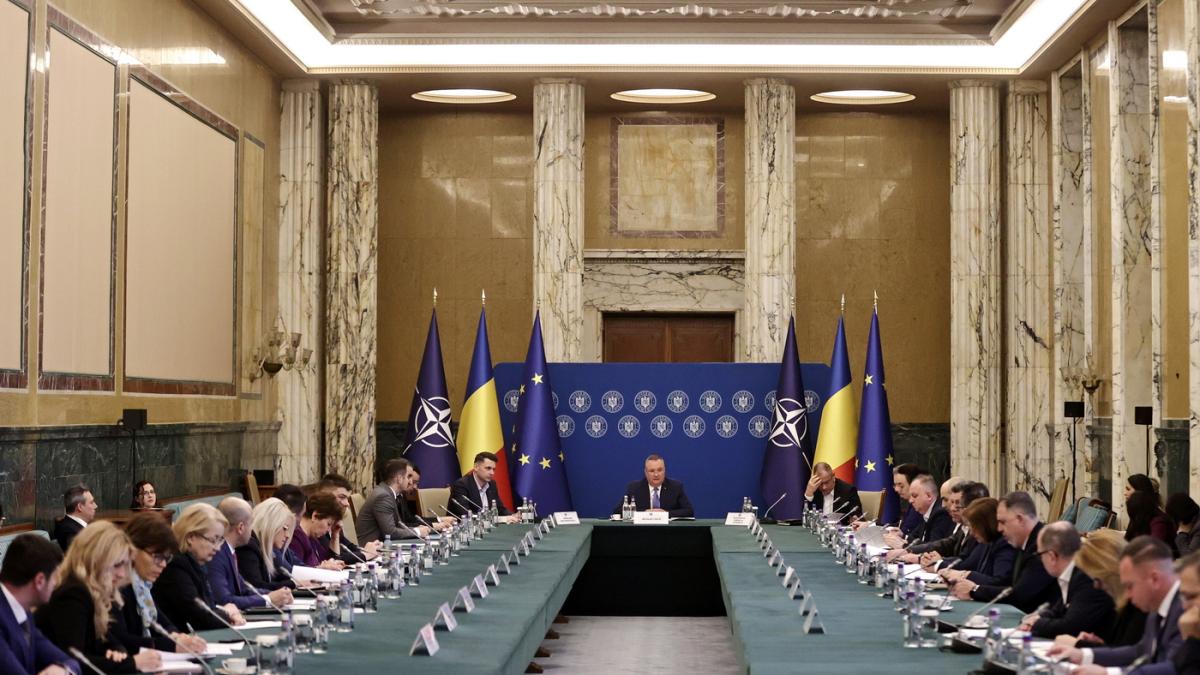 1678957987original_image_010_resize_46139700