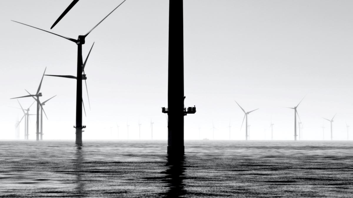 nicholas-doherty-1io-h4wd--o-unsplash_02856600