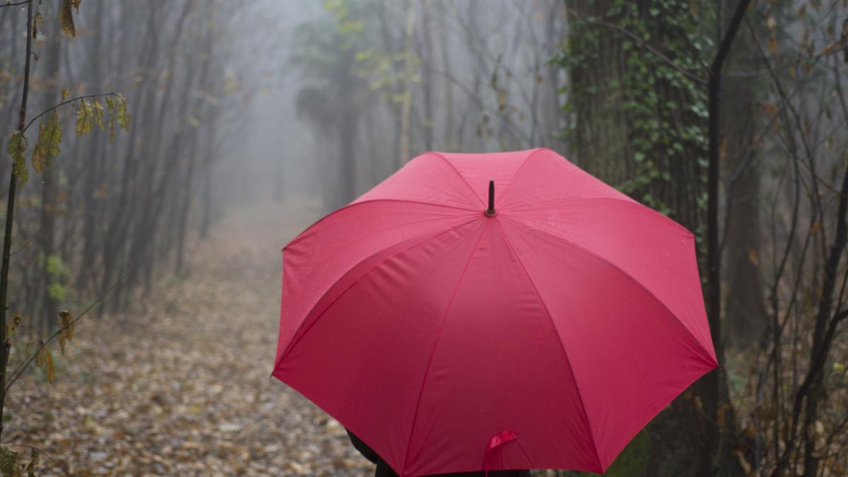 prognoza-meteo_85071600