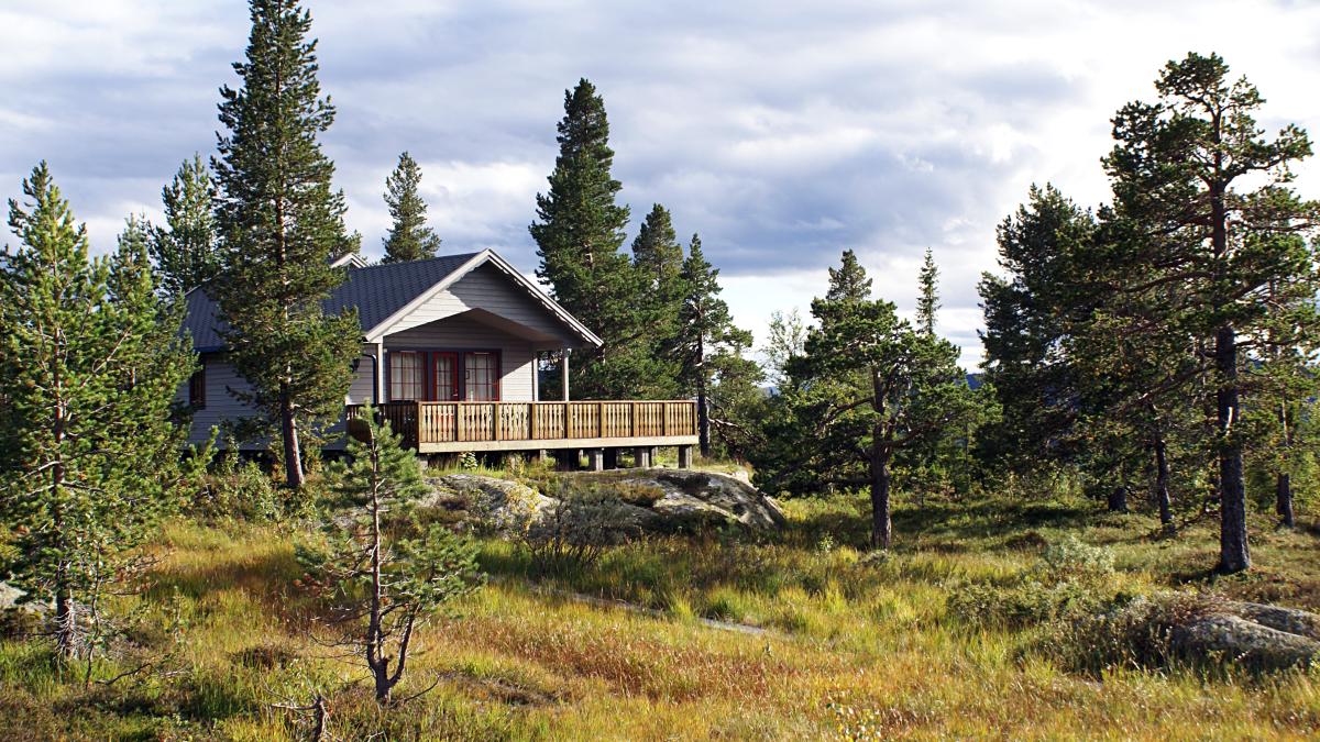 typical-norwegian-rural-cottage-with-breathtaking-landscape-beautiful-greenery-norway_46954200