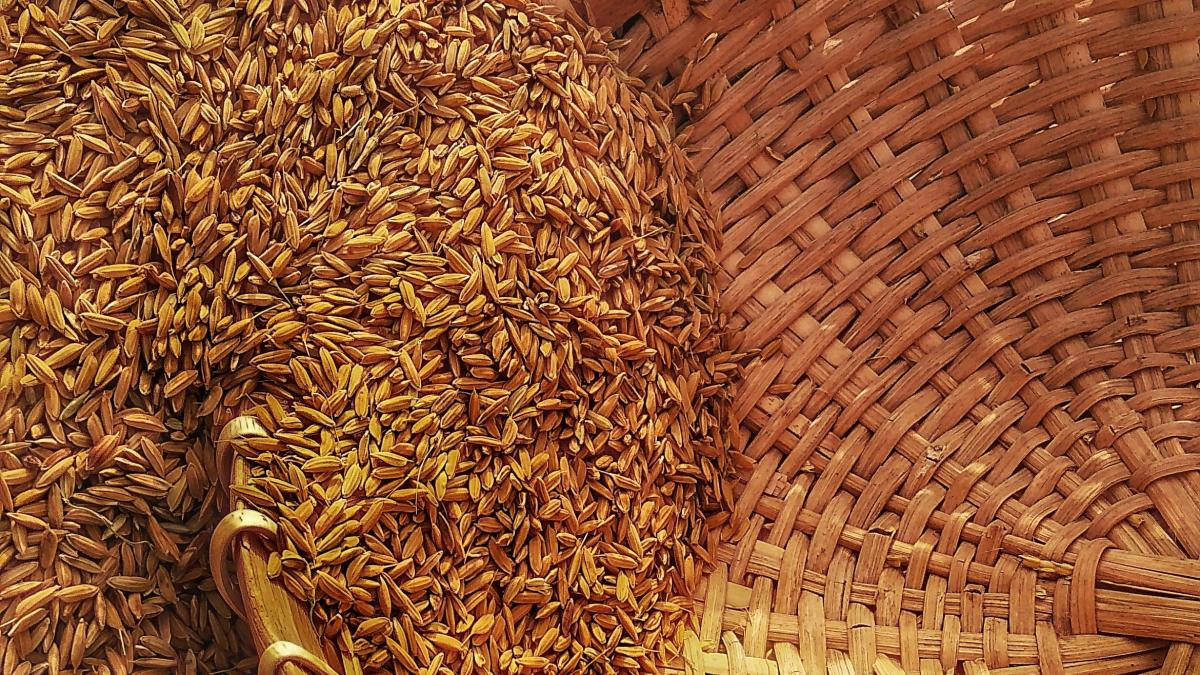 shalitha-dissanayaka-wqb_dtzcnys-unsplash_61002800