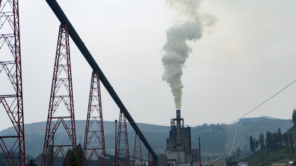 pexels-braeson-holland-9092828_01577300