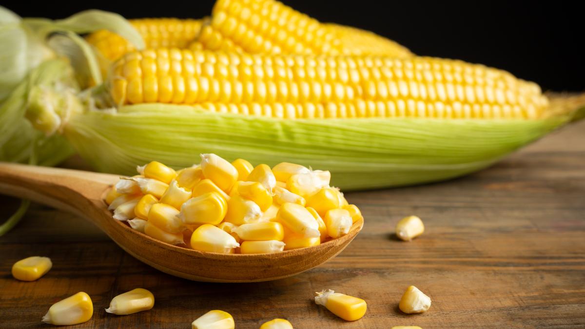 seeds-sweet-corn-wooden-table_72390300