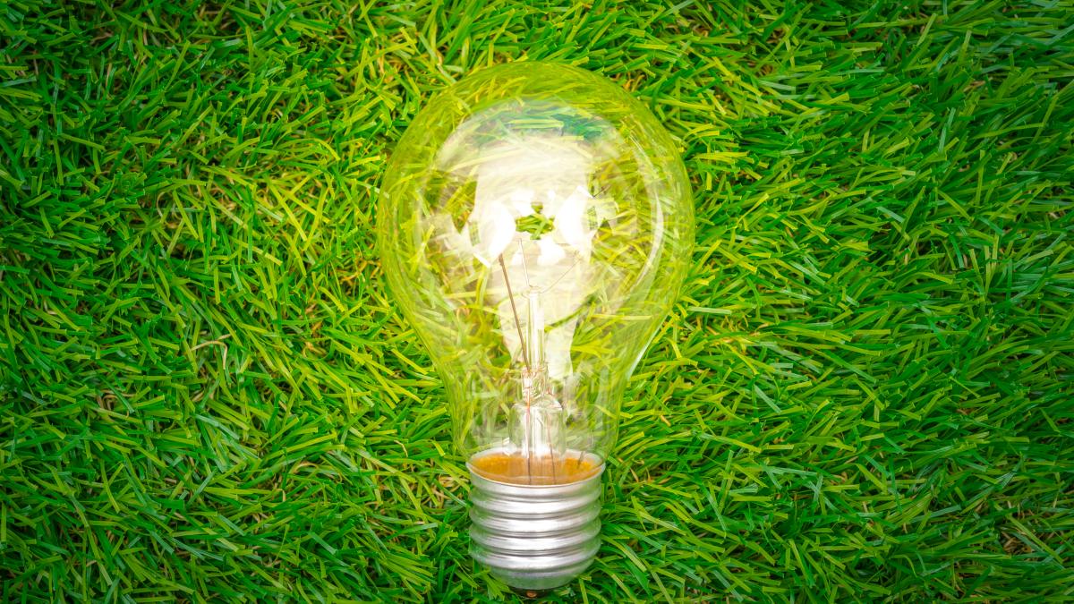 eco-concept-light-bulb-grow-grass_43050500
