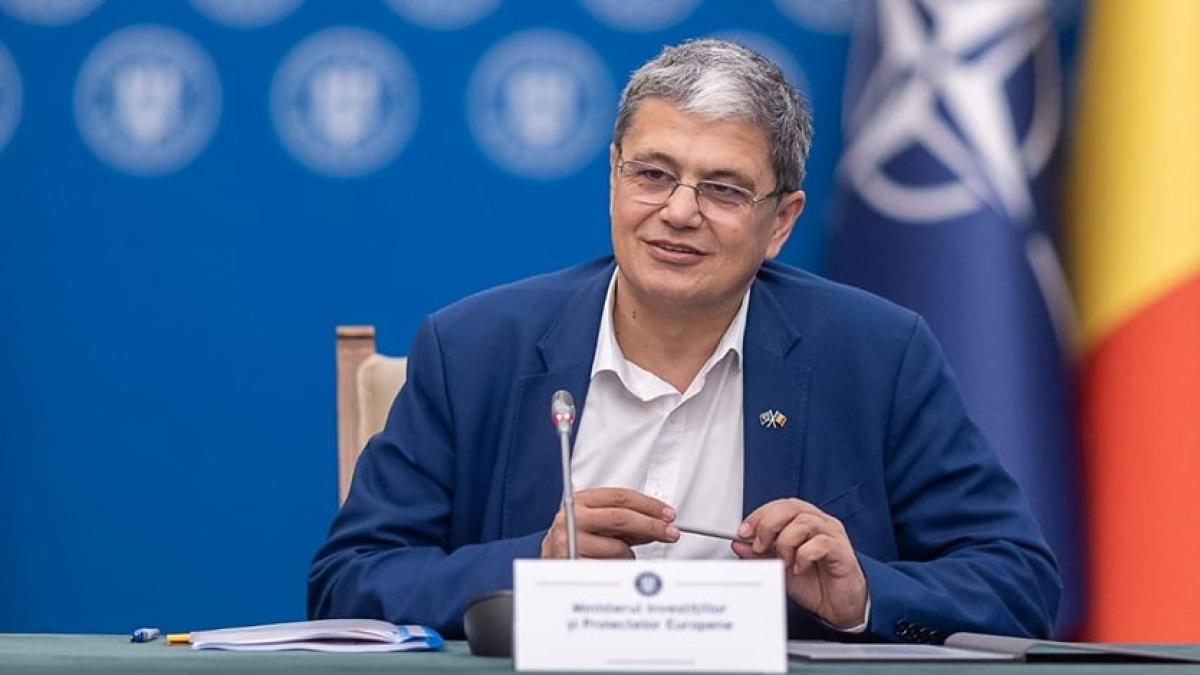 bolos-marcel_60792400