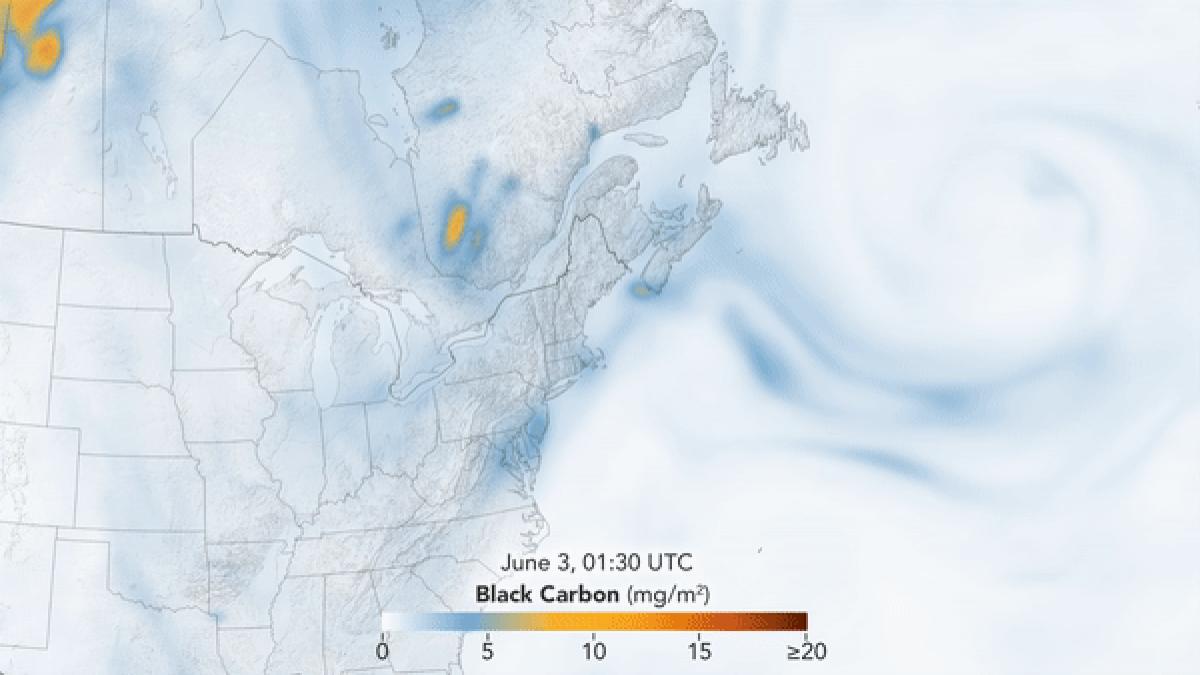 ezgif-com-video-to-gif_36007100