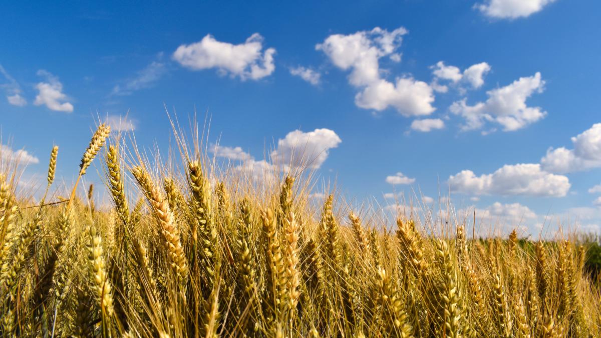 nikolett-harmat-igkz2yiv1mu-unsplash_43888000