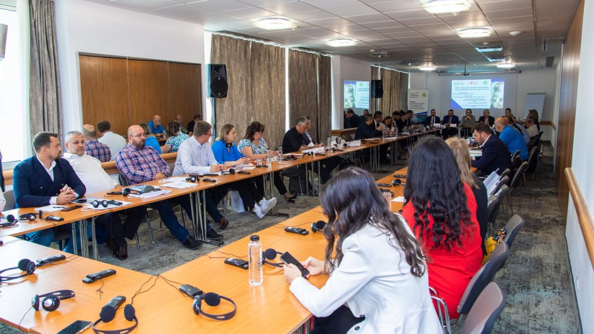 afm-proiecet_93507600