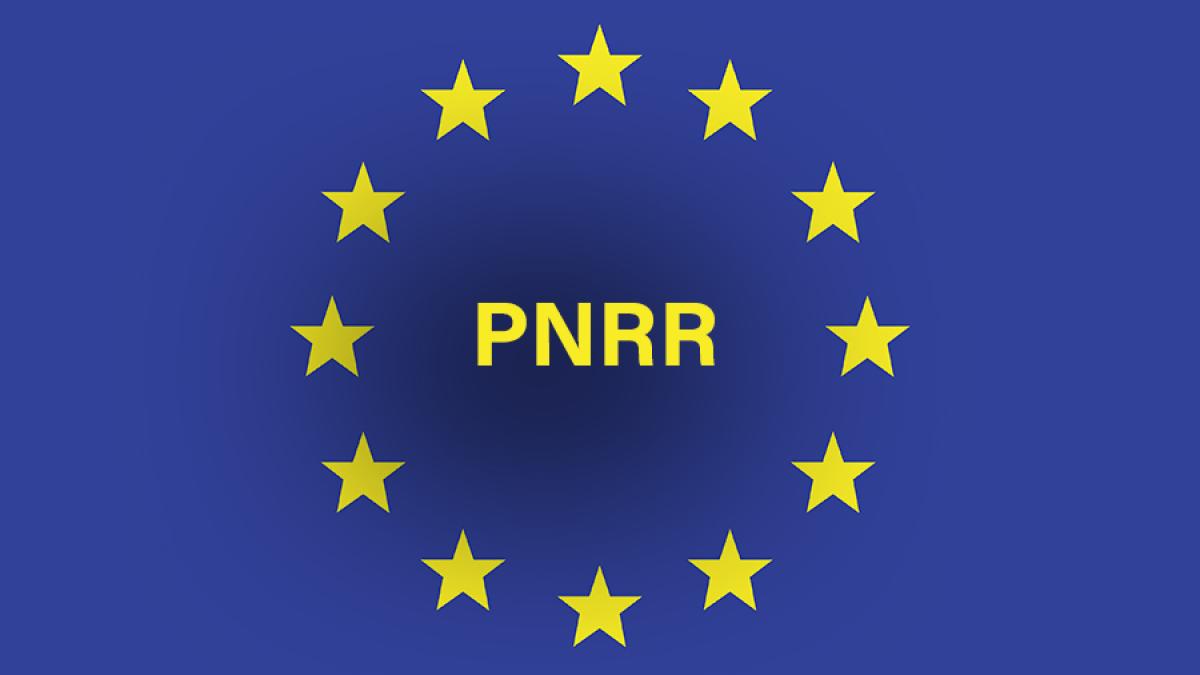 pnrr_11834000
