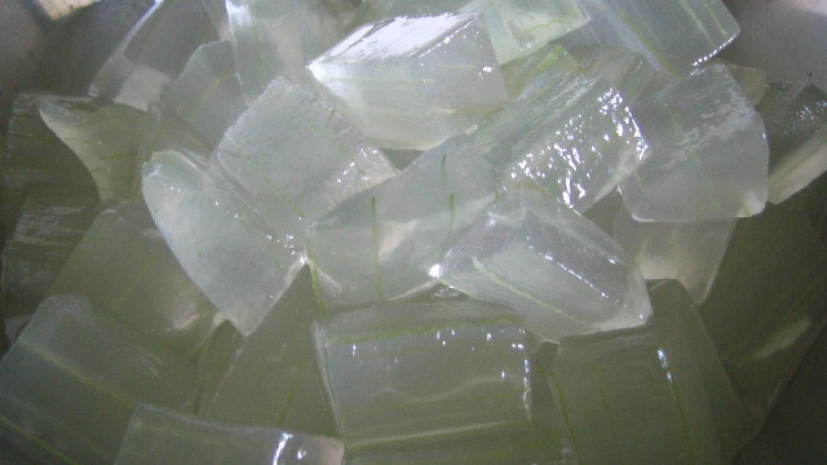 aloe_vera_gel_95405200