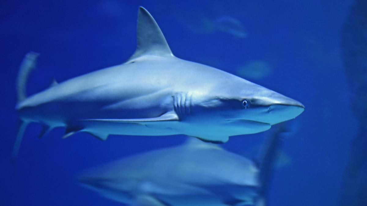 david-clode-ydq7xfbdekw-unsplash_56325200