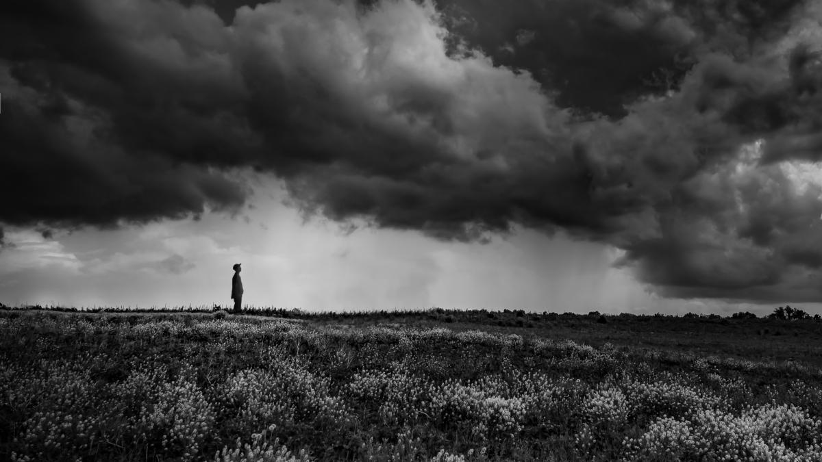 todd-trapani-6vxqrxvfxji-unsplash_12591900