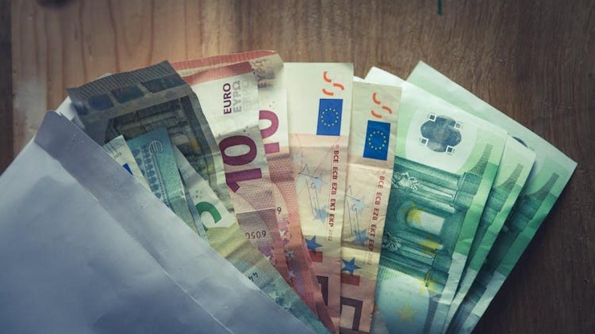 pexels-euro_42522100