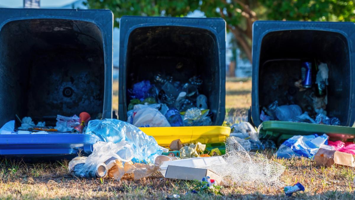 gunoi-selectat_38849200