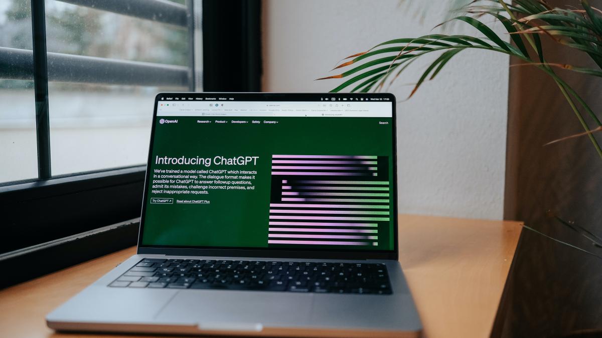 pexels-hatice-baran-16037283_90295900