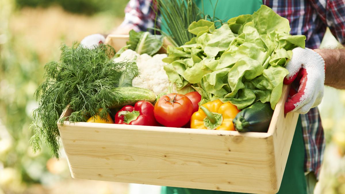 close-up-box-with-vegetables-hands-mature-man_09087700