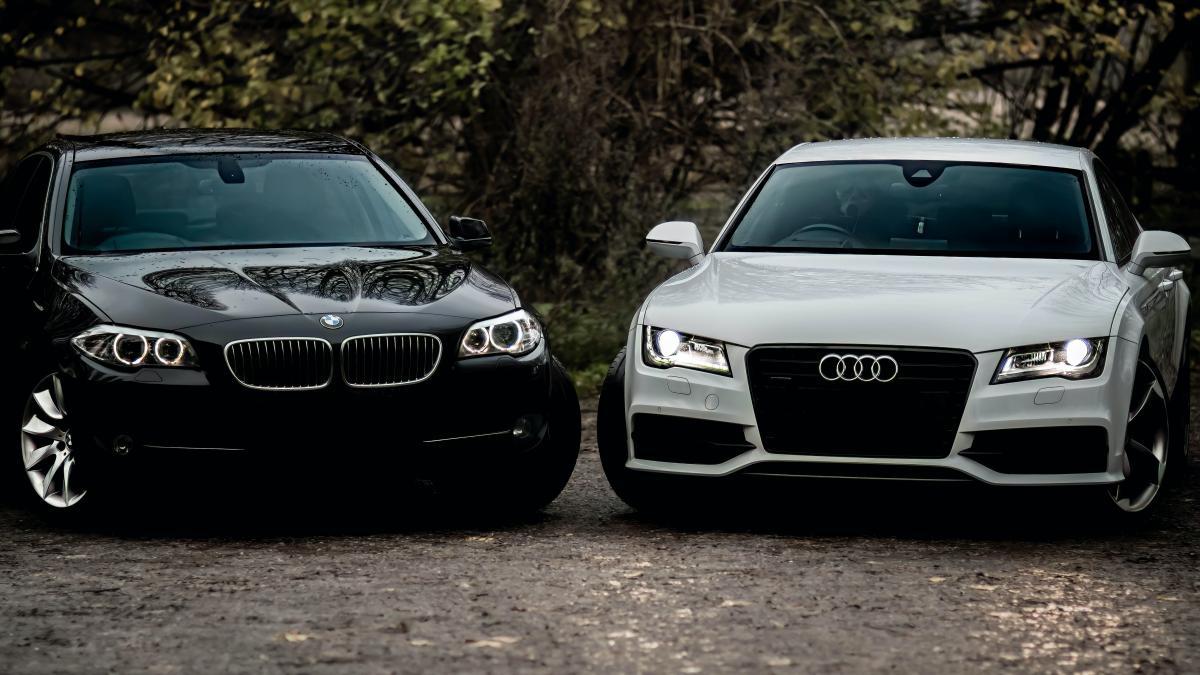 pexels-dan-ro-14764071_65189500