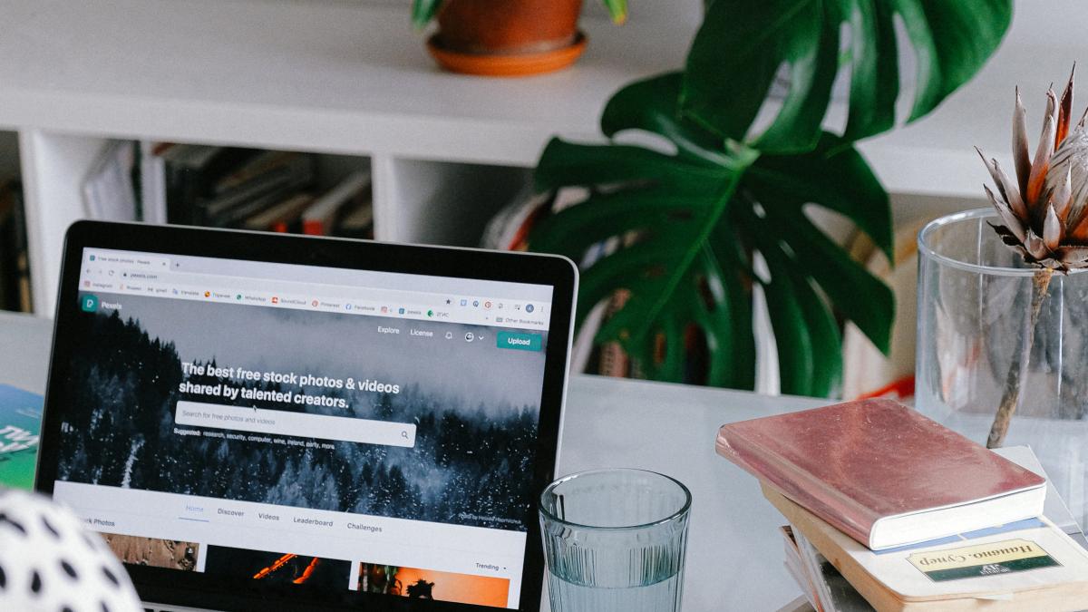 pexels-anna-shvets-3987020_52682100