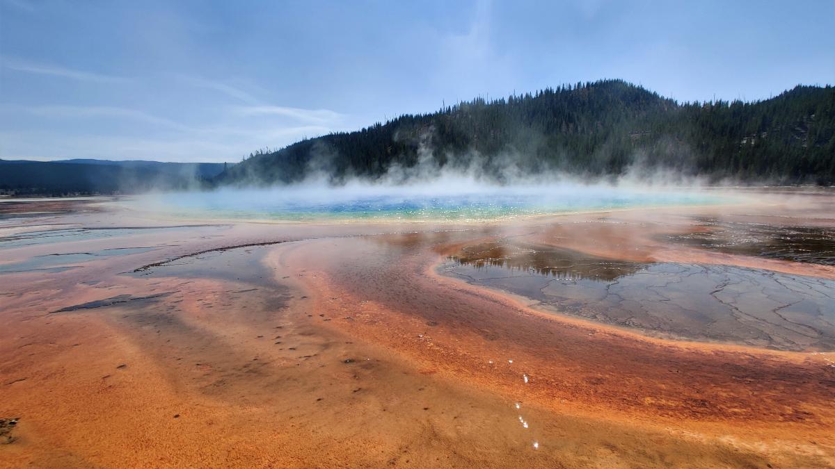 pexels-enchanted-earth-10469902_38849400