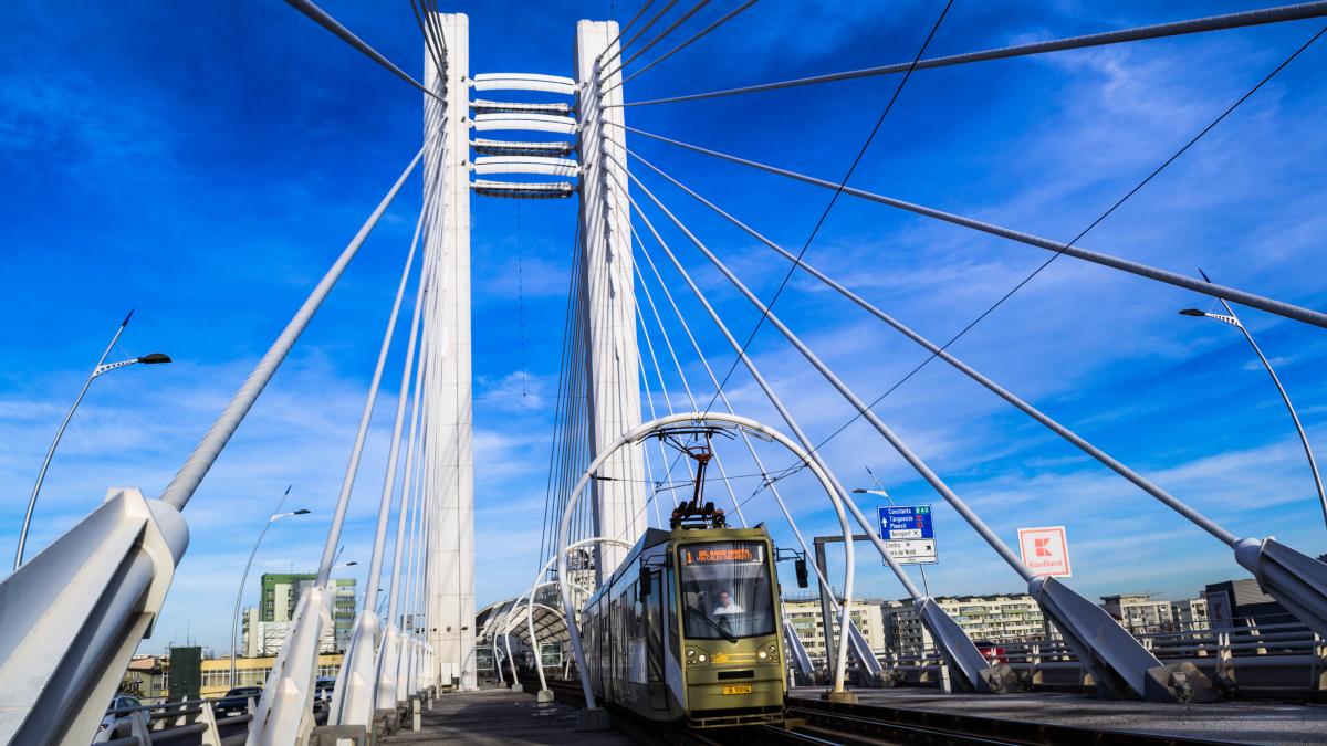 pexels-eduard-balan-7754821_93003900