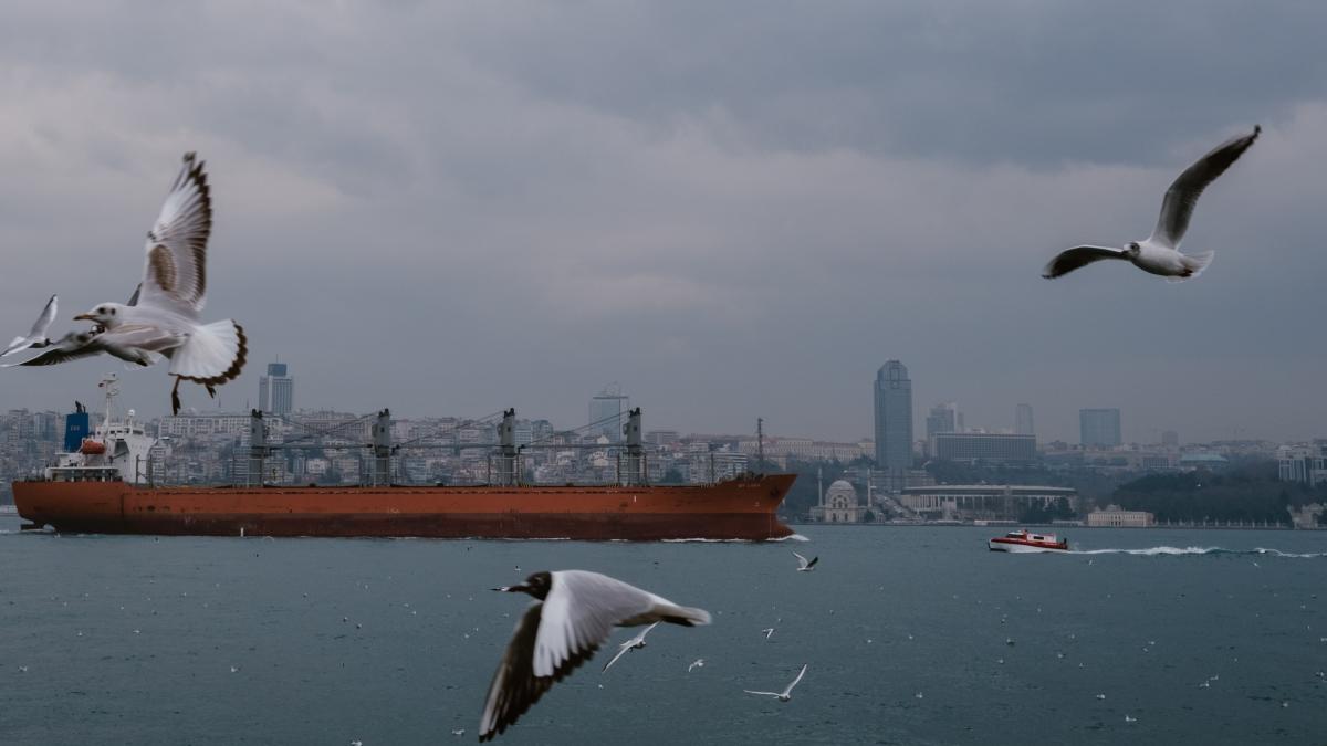 filipp-romanovski-ziafzd6an4k-unsplash_19968300