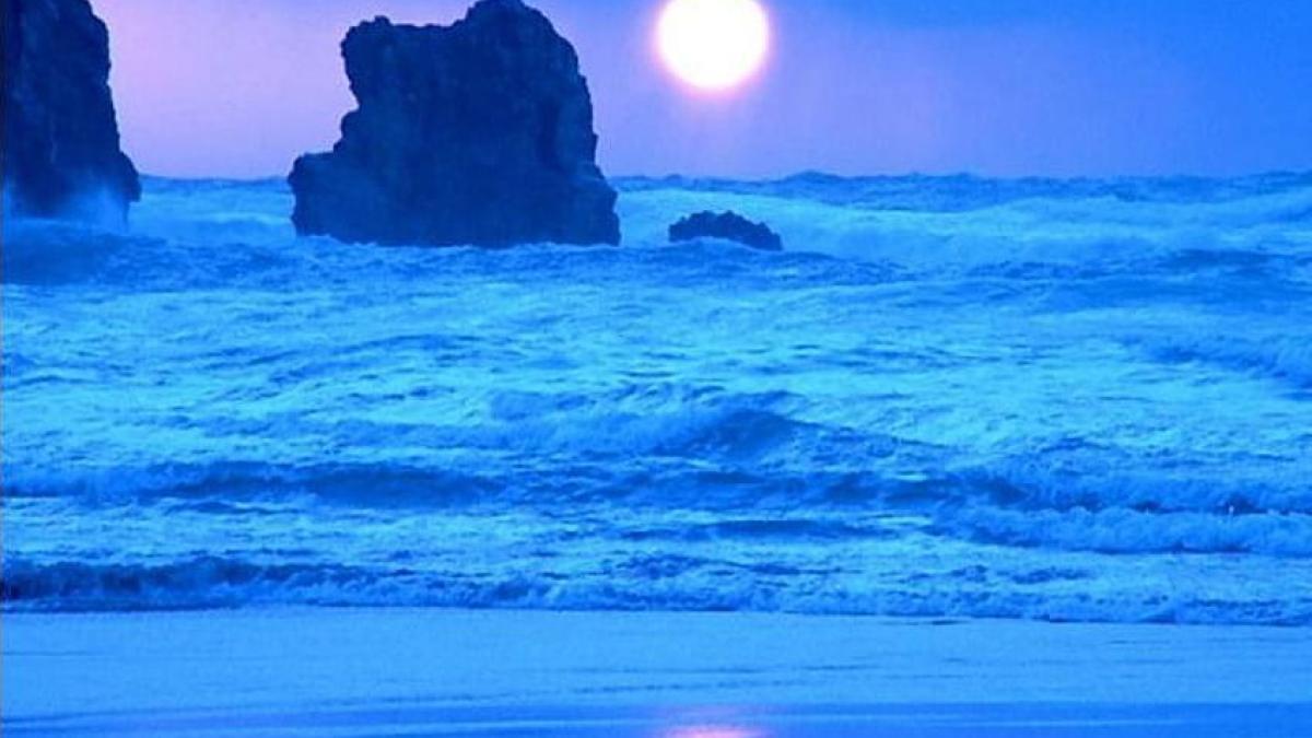 oceanulului_21527100