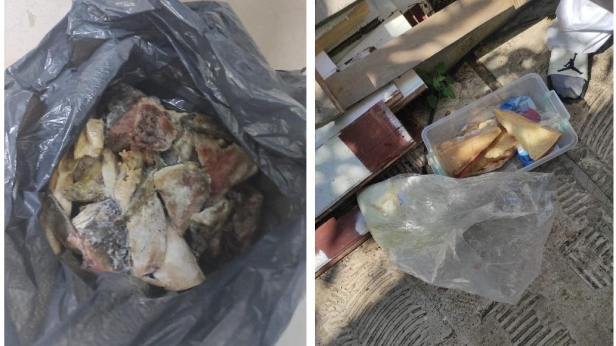 ansvsa-litoral_22521400