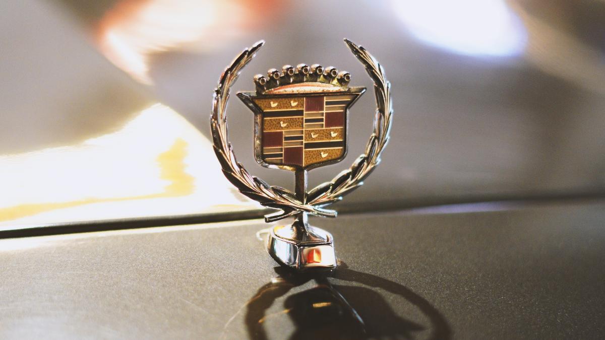 pexels-gaurav-kumar-14440463_76532800