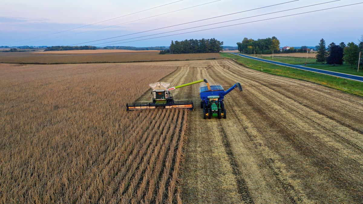 pexels-tom-fisk-9952172_30920400