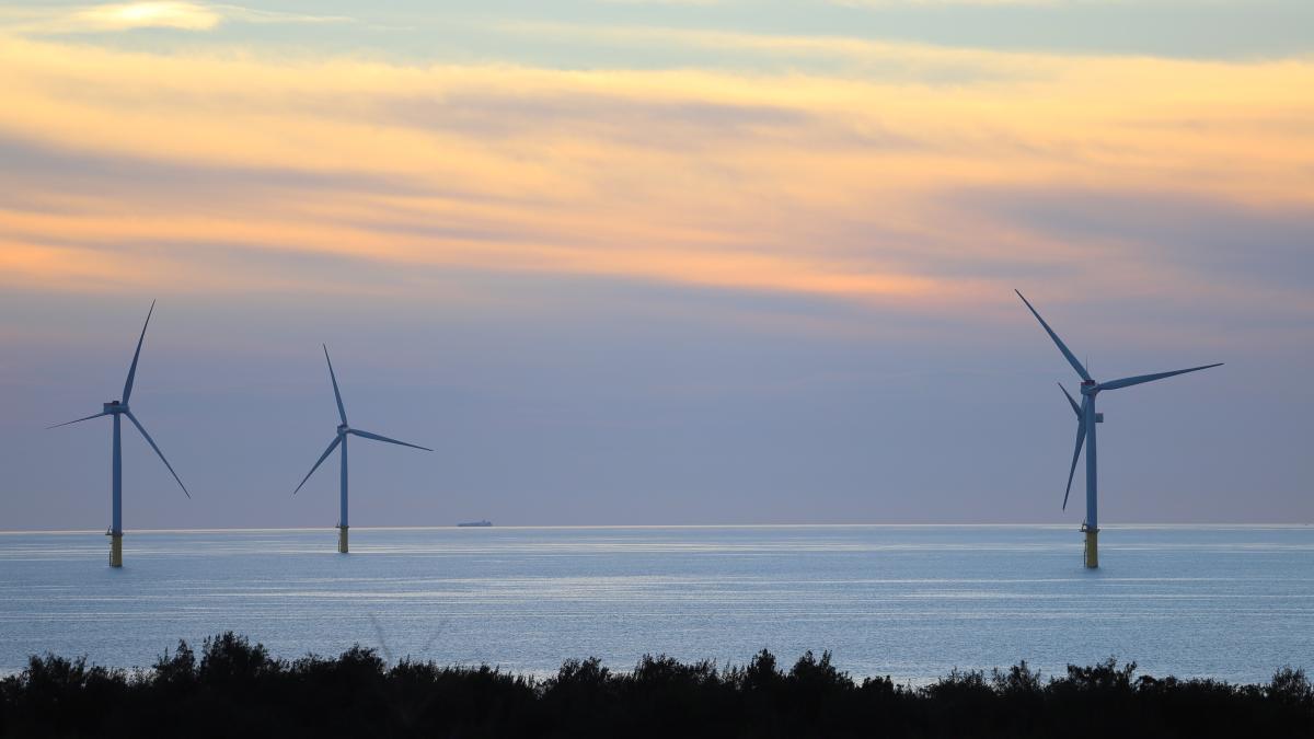 pexels-p-hsuan-wang-12534714_96157600