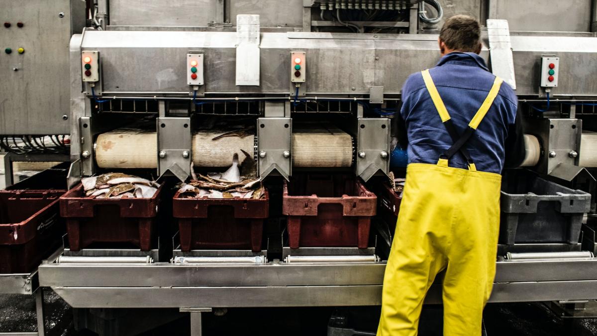 muncitor-industrie_54760900