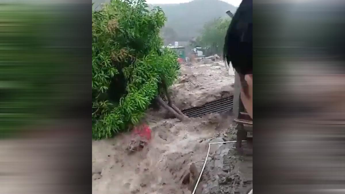 baja-california-mexic_31445000