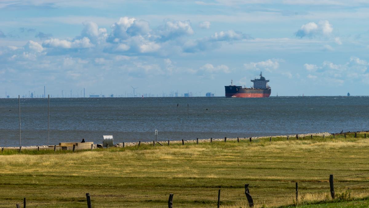 nava-cargo-cereale_50464800