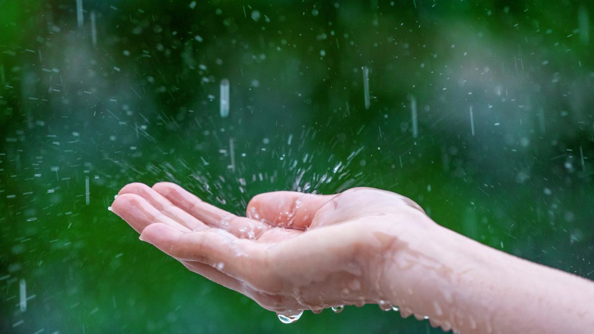 close-up-wet-female-hands-rain-1_21629500