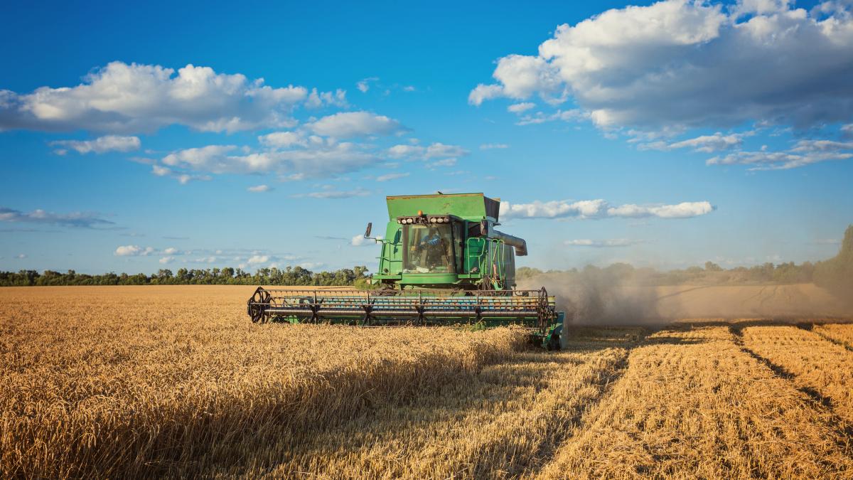 harvesting-combine-field_35875700