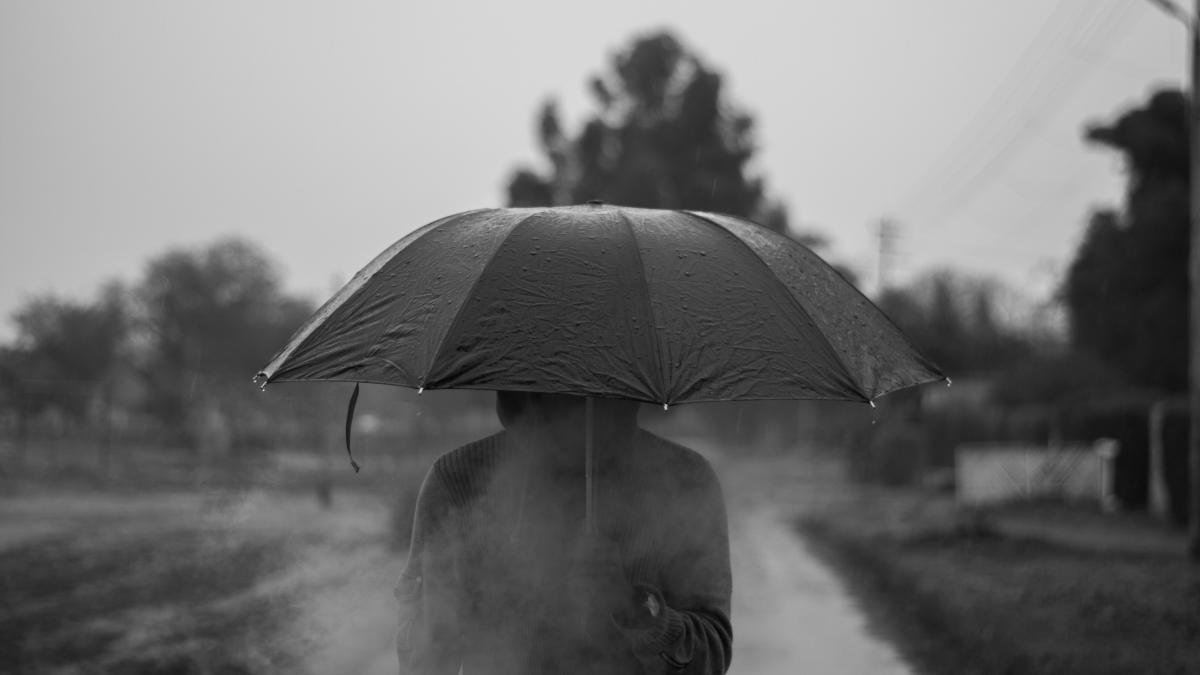 pexels-sabbaar-khan-2031171_00443900