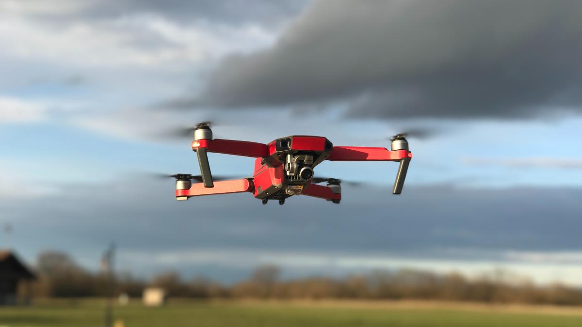 pexels-david-mcbee-388846_19852900