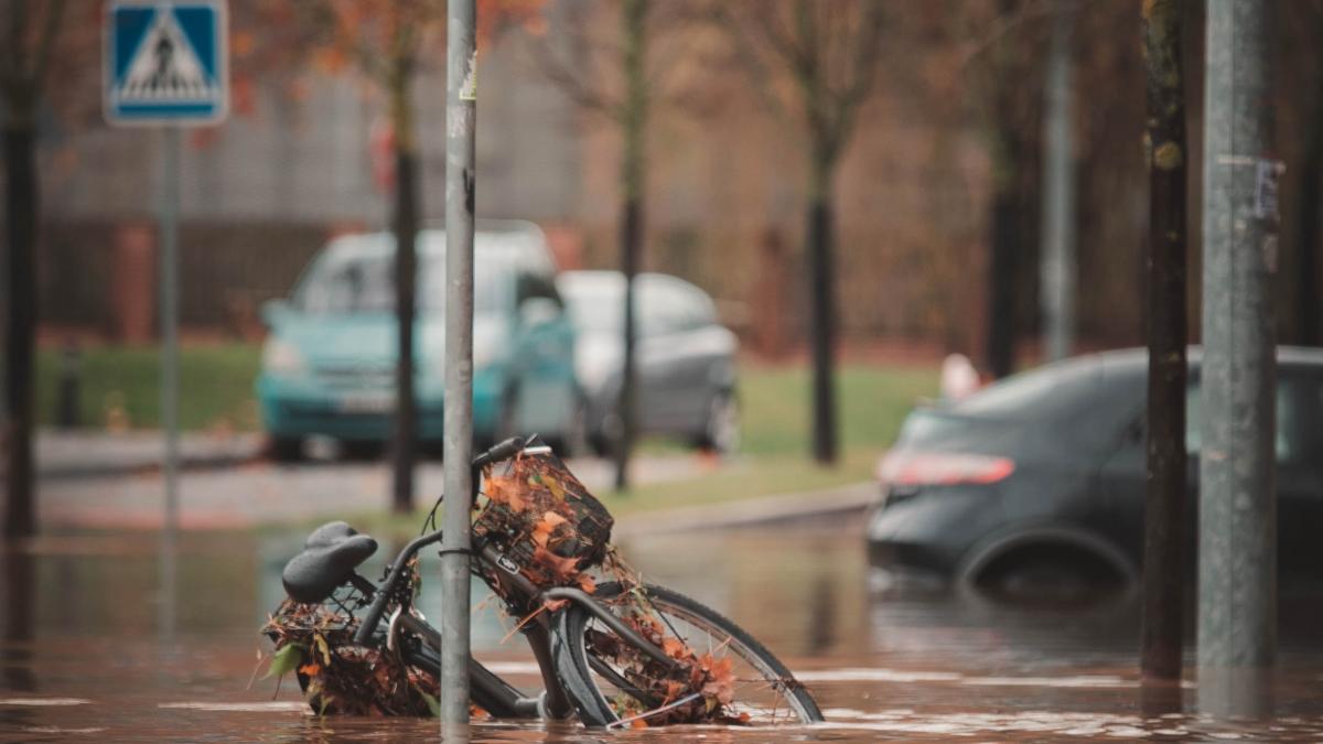 juan-manuel-sanchez-3dafyk7hkve-unsplash_64443700