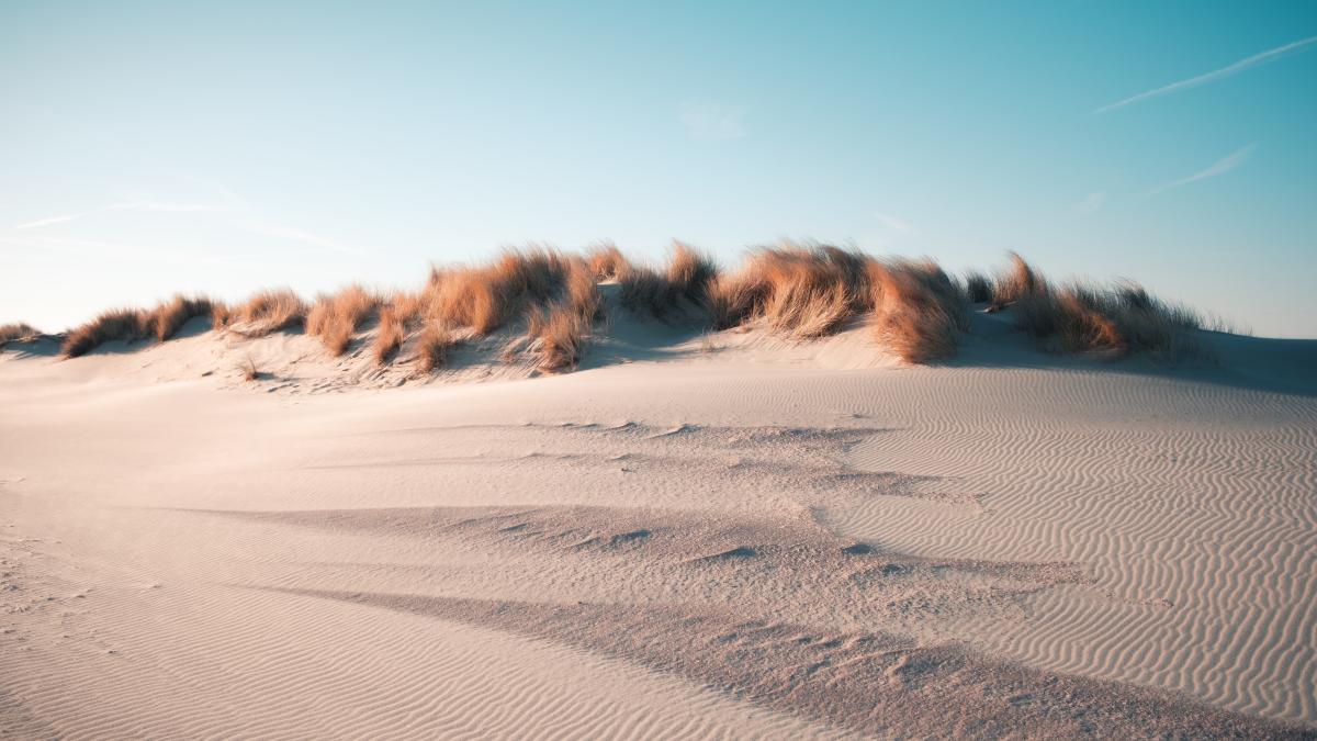 beautiful-view-desert-clear-blue-sky-captured-oostkapelle-netherlands_33003300
