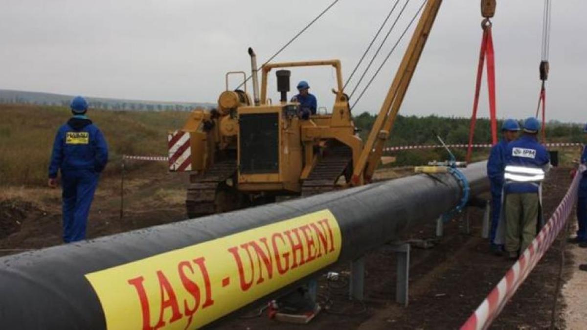 vestmoldtransgaz_40038500