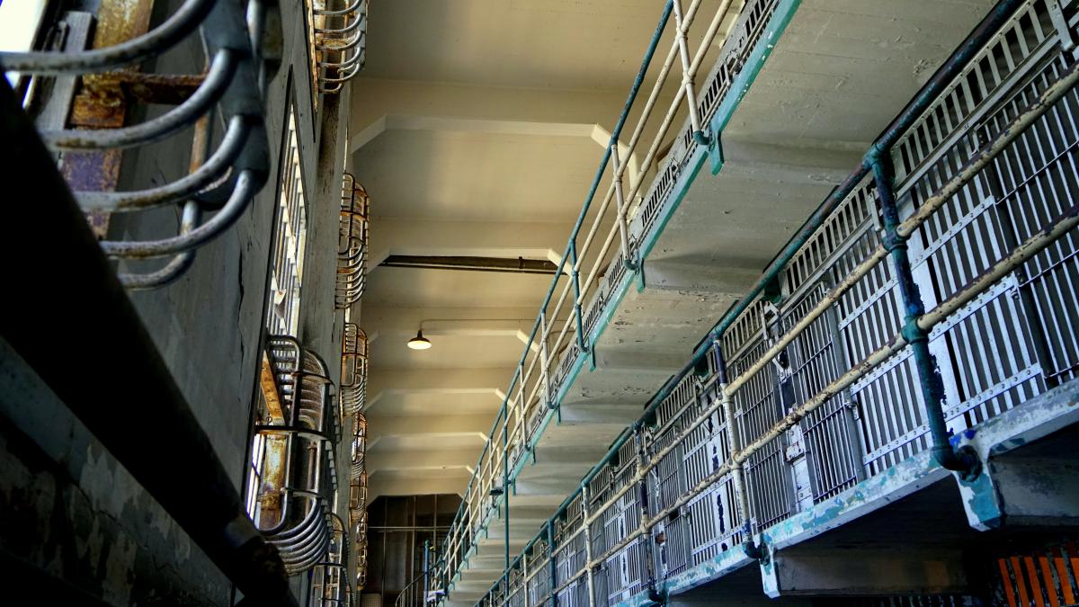 tim-photoguy-njg0l0ylarq-unsplash_07781500