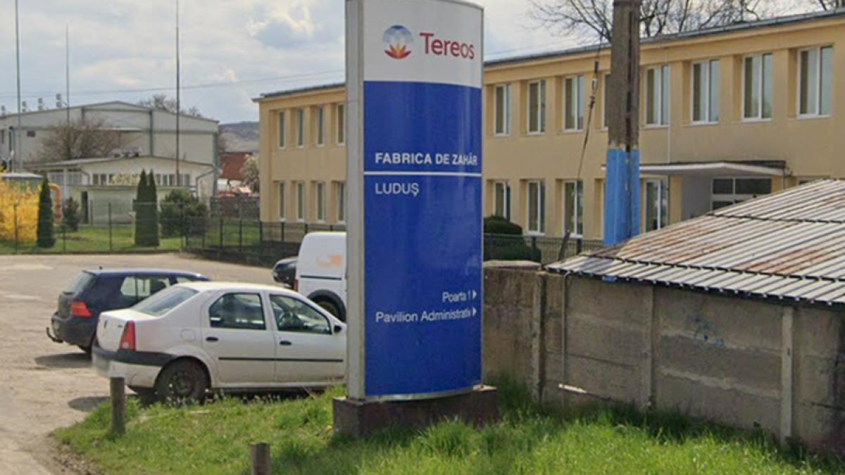 fabrica-de-zahar-ludus_98900100