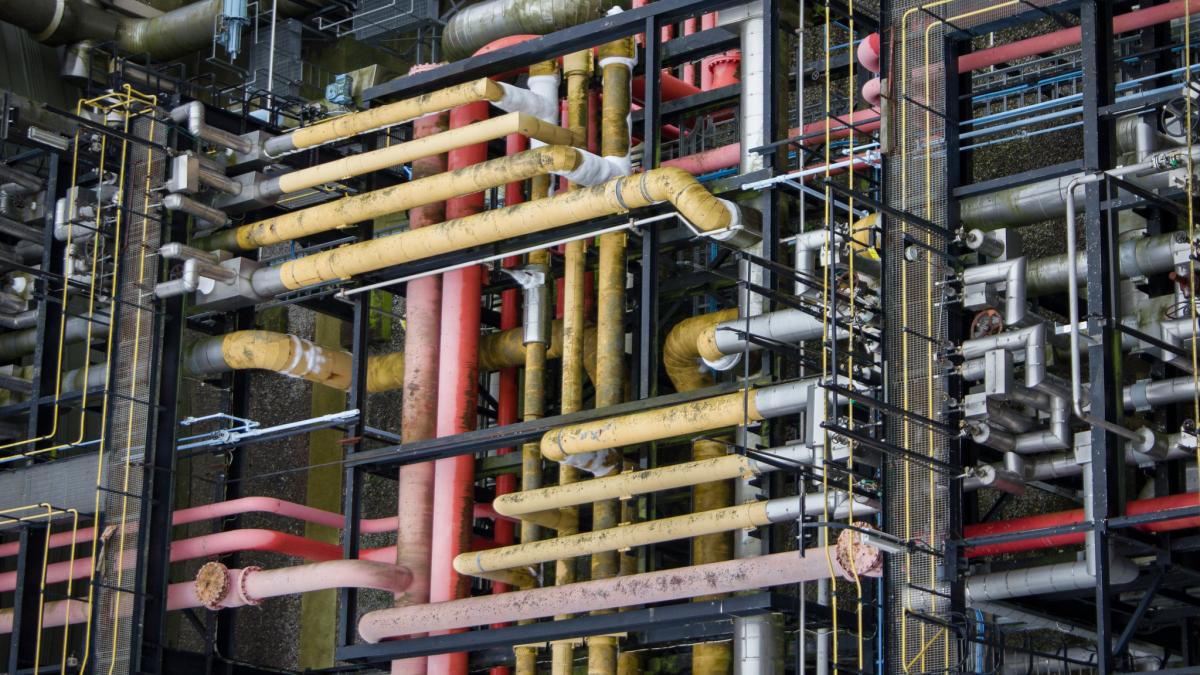 50581561532_f6acd23f24_k_28245900